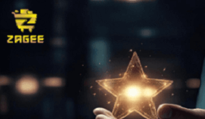 Is Zagee a Safe Investment Option? Red Flags to Consider