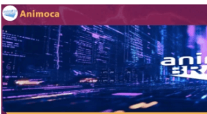 Animocavip - Is It Legit or a Scam?