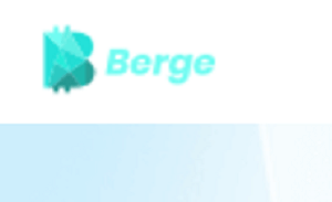 The Hidden Risks of Berge.ink - What You Need to Know