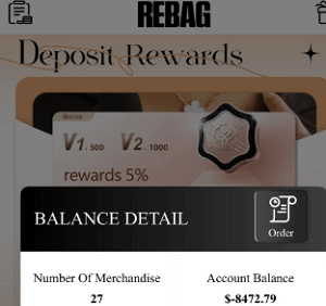 The Hidden Risks of Rebagplus.club - What You Need to Know