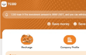 Is Tcdd-usd.com a Safe Investment Option? Red Flags to Consider