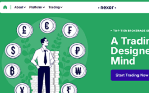 The Hidden Risks of Nexor.pro - What You Need to Know