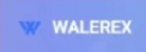 The Hidden Risks of Walerex - What You Need to Know
