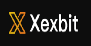 The Hidden Risks of Xexbit - What You Need to Know