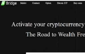 Is Ucbridge.com a Safe Investment Option? Red Flags to Consider