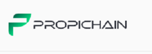 The Hidden Risks of Propichain.finance - What You Need to Know