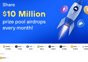 The Hidden Risks of Coinbtch.com - What You Need to Know