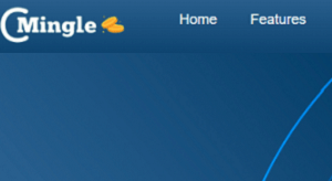 The Hidden Risks of CoinMingle - What You Need to Know