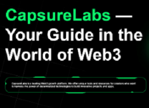 Is Capsurelabs.tech a Safe Investment Option? Red Flags to Consider