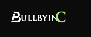 The Hidden Risks of Bullbyinc.com - What You Need to Know
