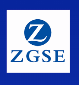 Is Zgsevip a Safe Investment Option? Red Flags to Consider