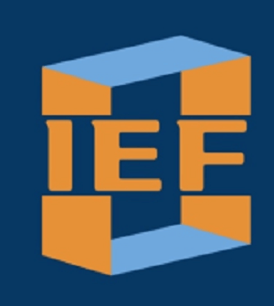 The Hidden Risks of IEF Investment Foundation - What You Need to Know