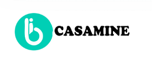 Is Casamine.xyz a Safe Investment Option? Red Flags to Consider