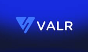 Is VALR a Safe Investment Option? Red Flags to Consider