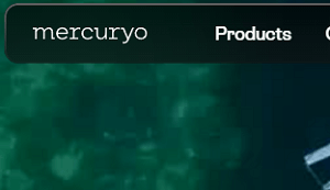 Is Mercuryo a Safe Investment Option? Red Flags to Consider