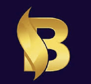 Is CoinblockMax a Safe Investment Option? Red Flags to Consider