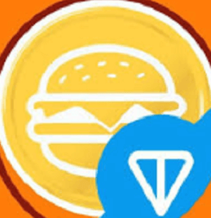 Is Bfdcoin.top a Safe Investment Option? Red Flags to Consider