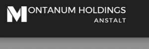 Is Montanum-holdings a Safe Investment Option? Red Flags to Consider